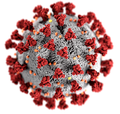 Virus